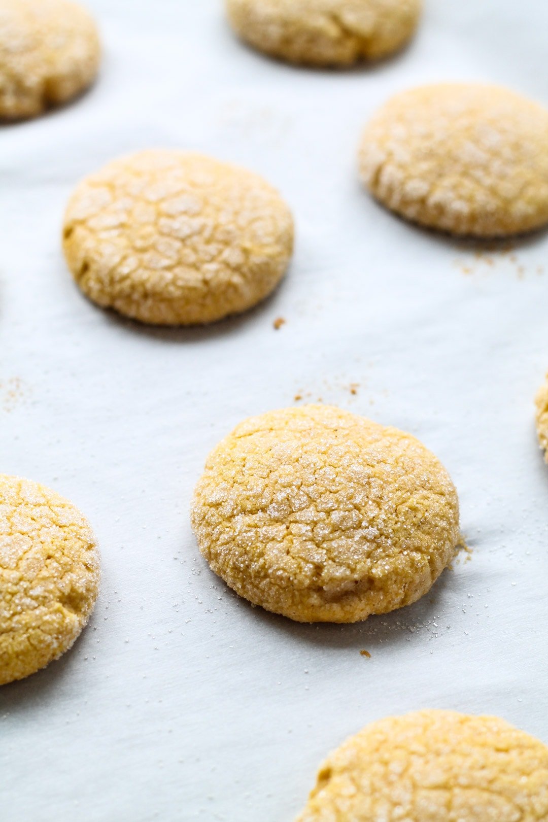 Baking sheet of Low FODMAP Pumpkin Cookies