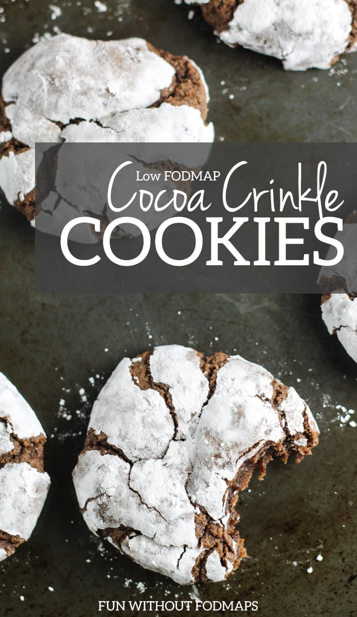 Low FODMAP Cocoa Crinkle Cookies FUN WITHOUT FODMAPS