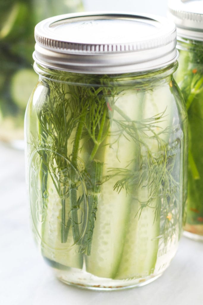Low FODMAP Refrigerator Dill Pickles Fun Without FODMAPs