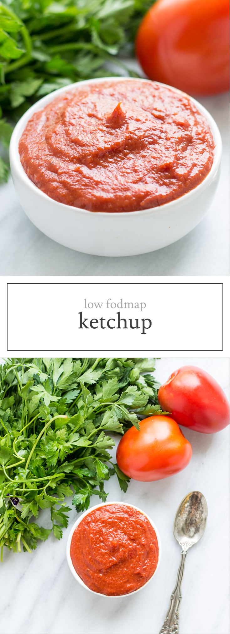Low FODMAP Ketchup Fun Without FODMAPs