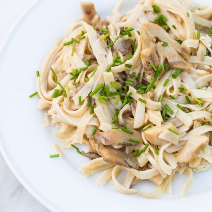 This simple Low FODMAP "Garlic" Mushroom Pasta recipe incorporates garlic-infused olive oil and (low FODMAP) oyster mushrooms for one delectable dish!