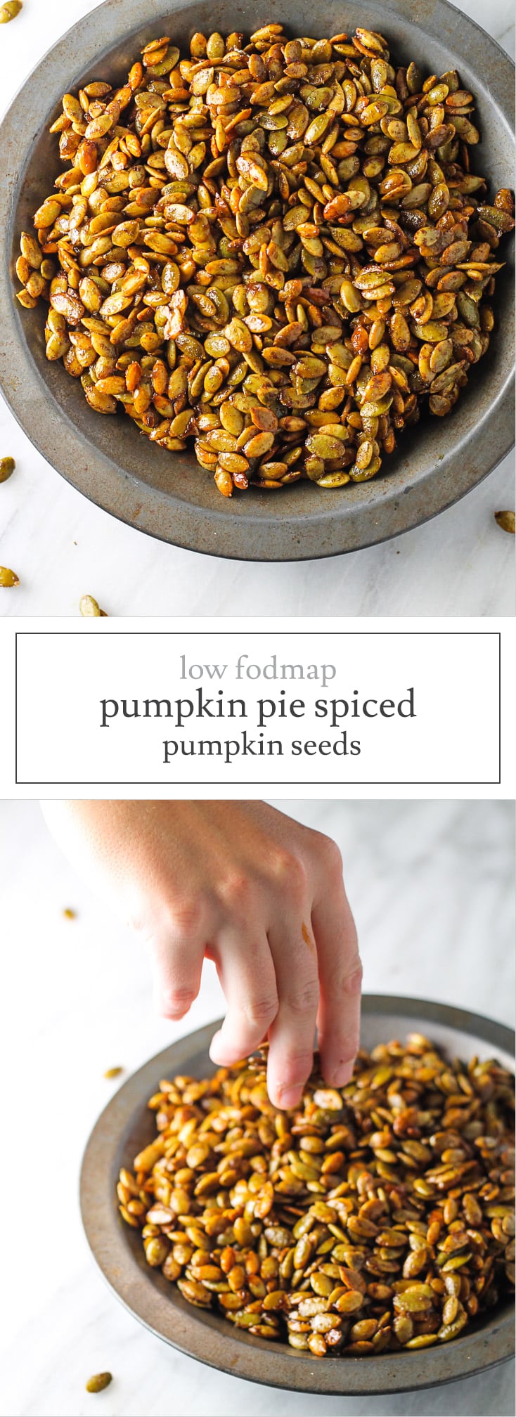 Low FODMAP Pumpkin Pie Spiced Pumpkin Seeds Fun Without FODMAPs