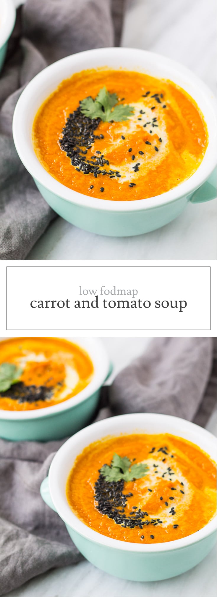Low FODMAP Carrot and Tomato Soup Fun Without FODMAPs
