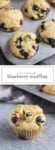 Low FODMAP Blueberry Muffins