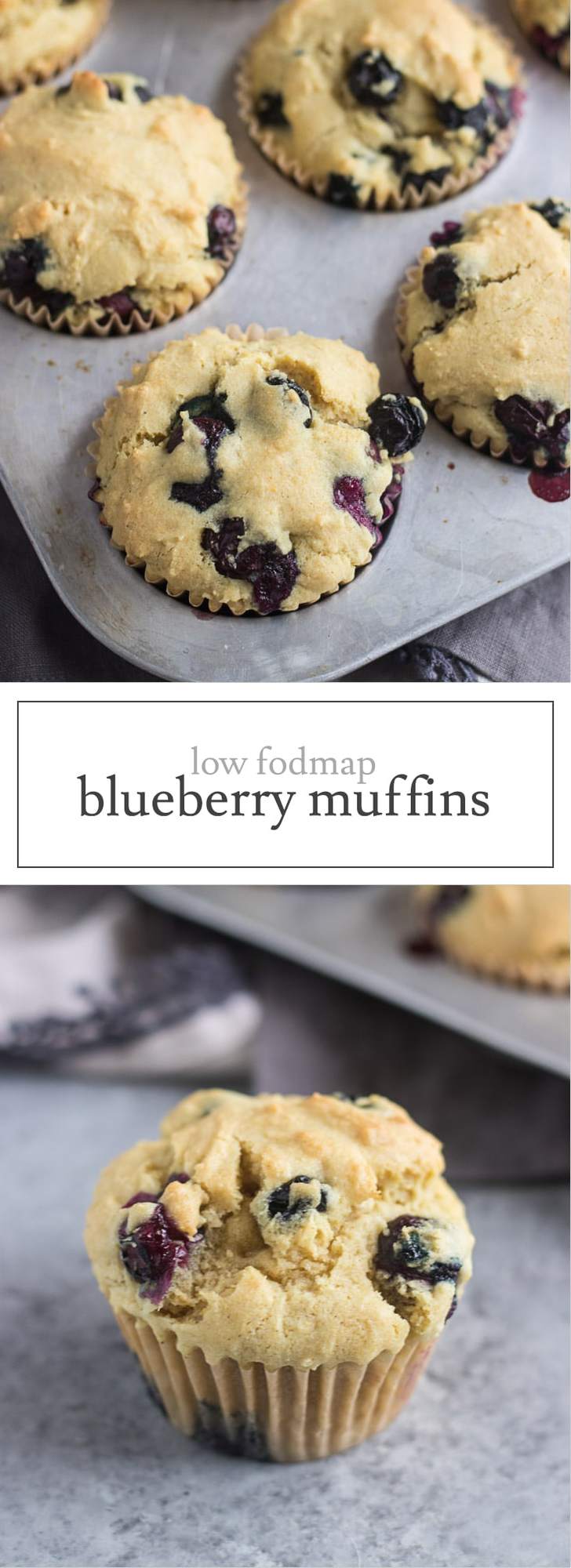 Low FODMAP Blueberry Muffins Fun Without FODMAPs