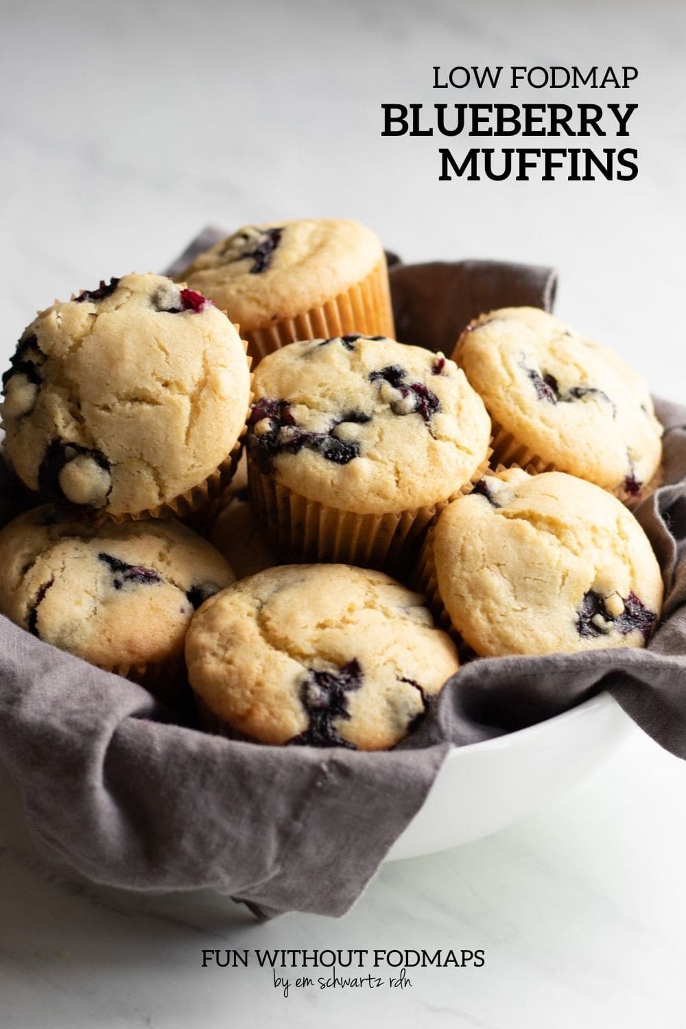 Low FODMAP Blueberry Muffins Fun Without FODMAPs