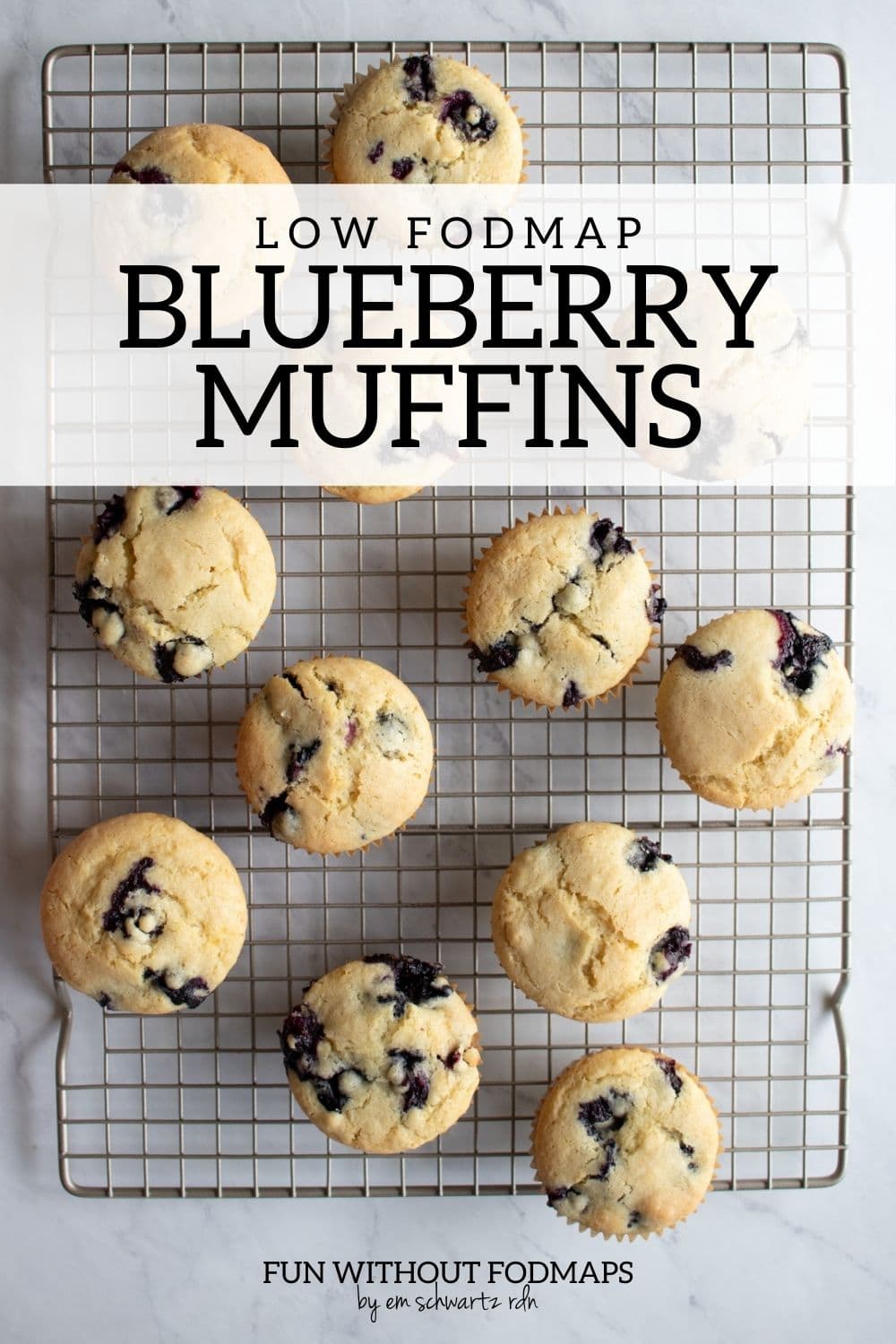 Low FODMAP Blueberry Muffins Fun Without FODMAPs