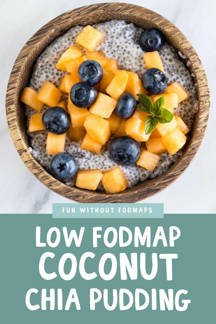 Low FODMAP Coconut Chia Pudding with Cantaloupe Fun Without FODMAPs