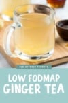 Low FODMAP Ginger Tea