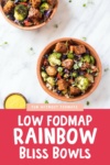 Low FODMAP Rainbow Bliss Bowls
