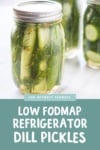 Low FODMAP Refrigerator Dill Pickles