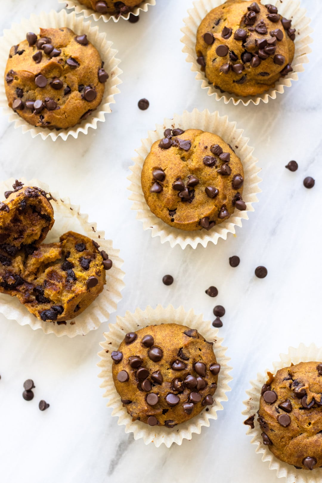 Seven Low FODMAP Pumpkin Muffins with Chocolate Chips are arranged on a white marble background with mini chocolate chips scattered in between. One of the muffins is broken in half to show the moist texture. 