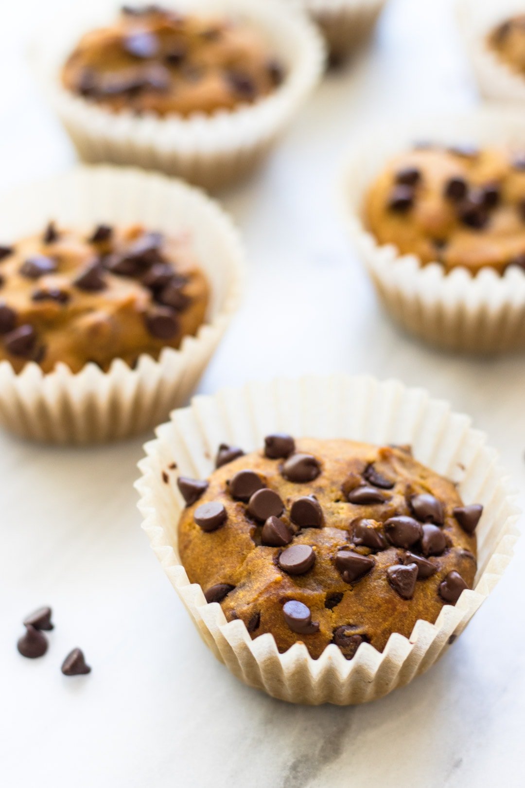 Close up of a pumpkin muffin with mini chocolate chips baked into the top.