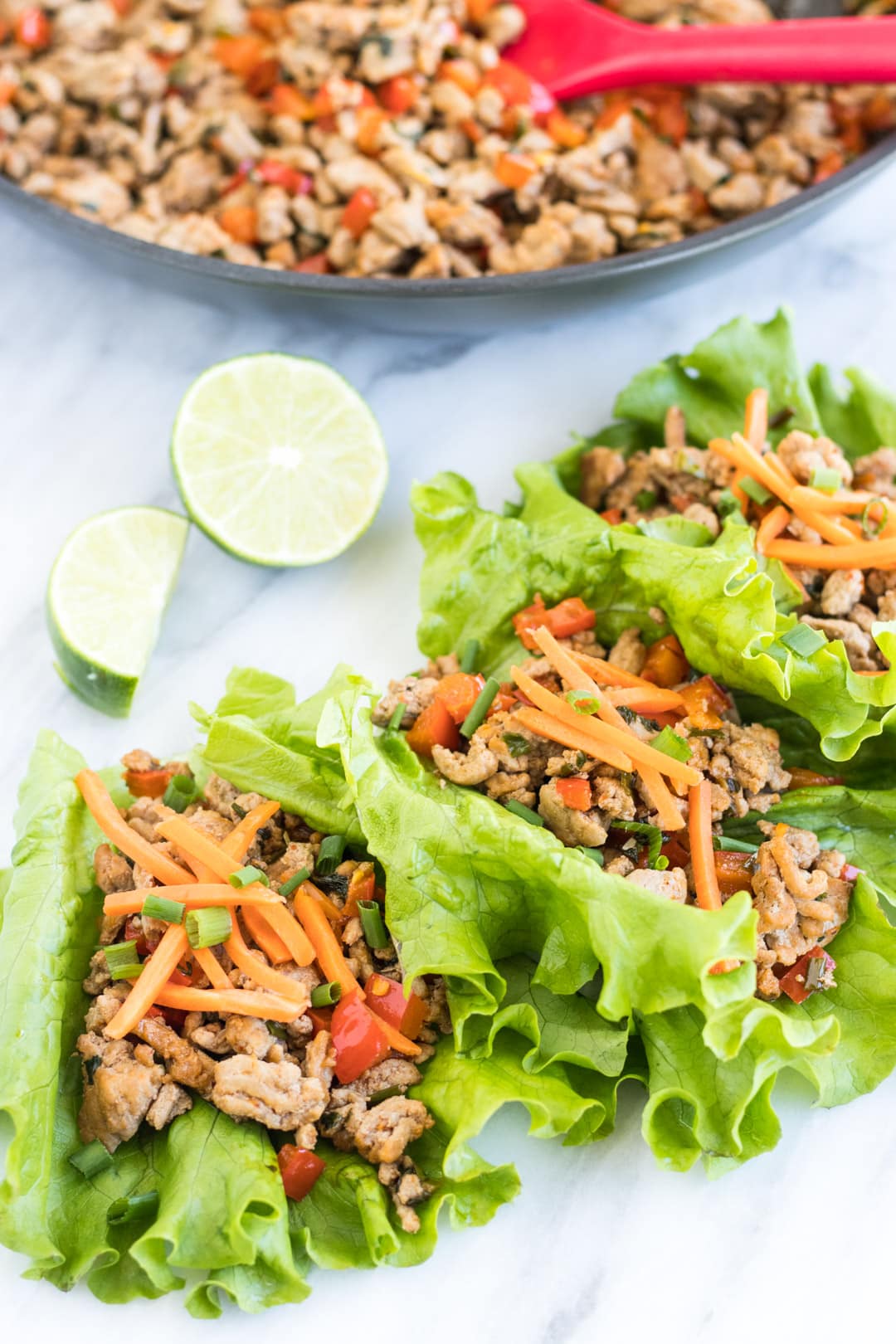 Low FODMAP Turkey Larb