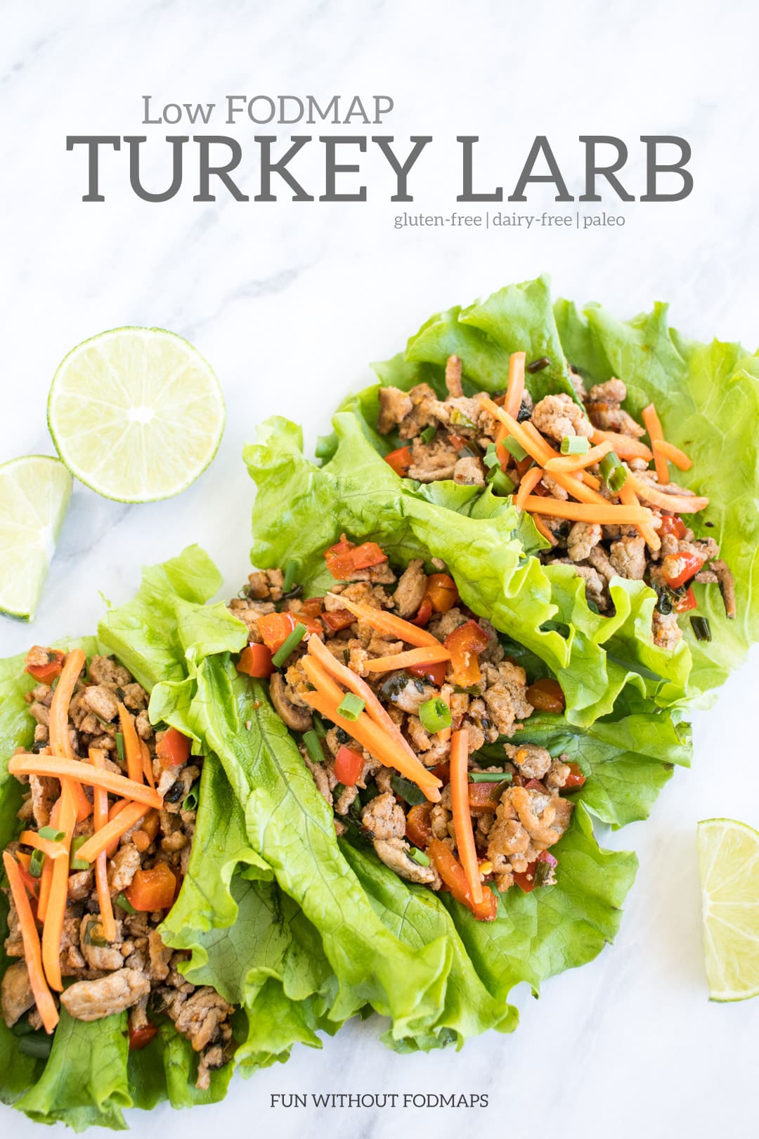 Low FODMAP Turkey Larb | FUN WITHOUT FODMAPS