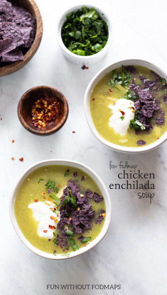 Low FODMAP Chicken Enchilada Soup (Slow Cooker or Instant Pot) Fun