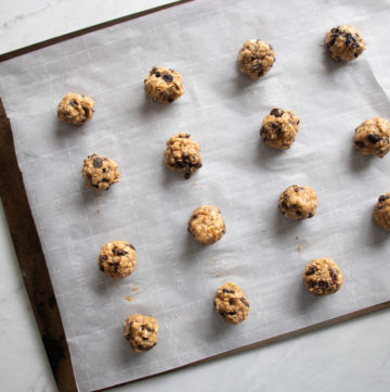 Low FODMAP Trail Cookies - Fun Without FODMAPs