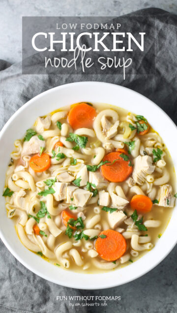 Low FODMAP Chicken Noodle Soup - Fun Without FODMAPs