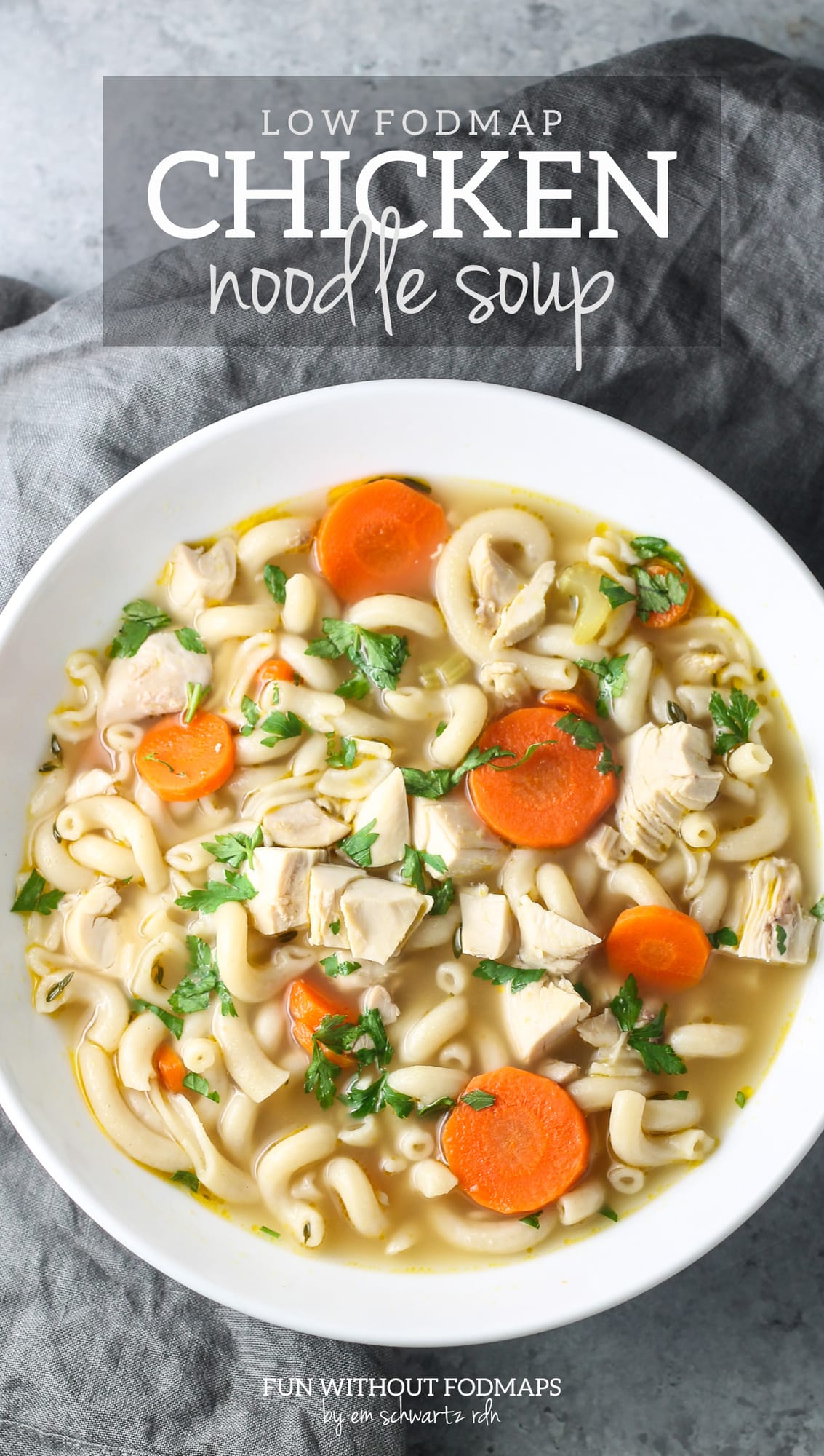 A bowl of homemade chicken noodle soup. Above the bowl, a text overlay reads "Low FODMAP Chicken Noodle Soup."