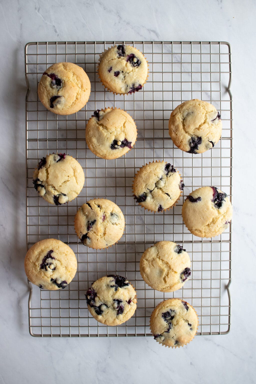 Low FODMAP Blueberry Muffins Fun Without FODMAPs