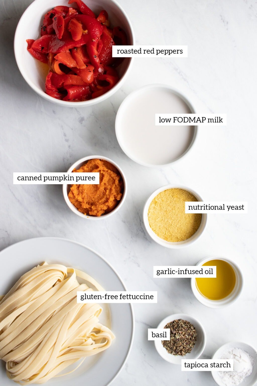 Lower FODMAP Roasted Red Pepper Pasta Fun Without FODMAPs