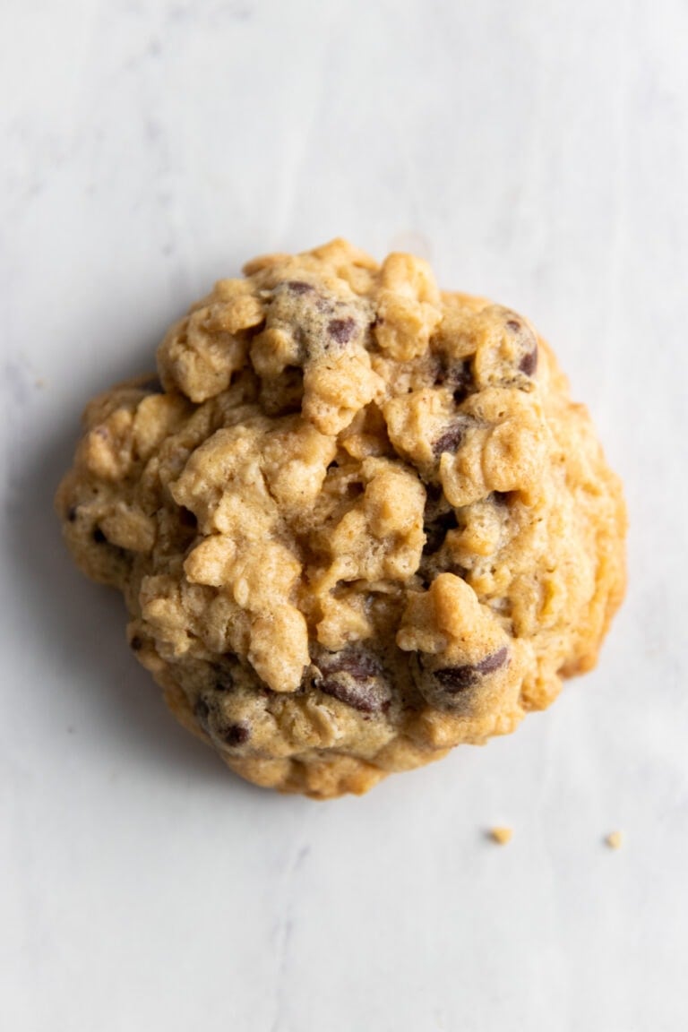 Low FODMAP Oatmeal Chocolate Chip Cookies Fun Without FODMAPs