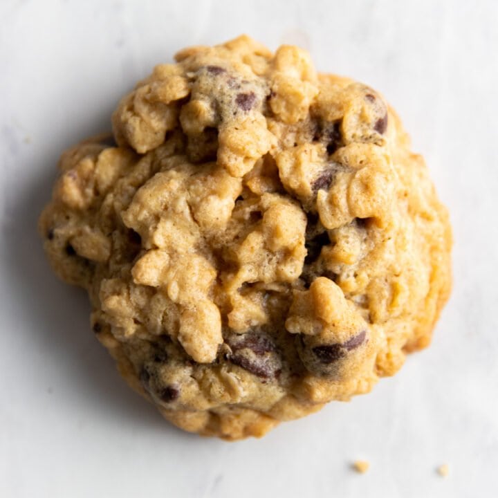 Single low FODMAP oatmeal cookie with chocolate chips.