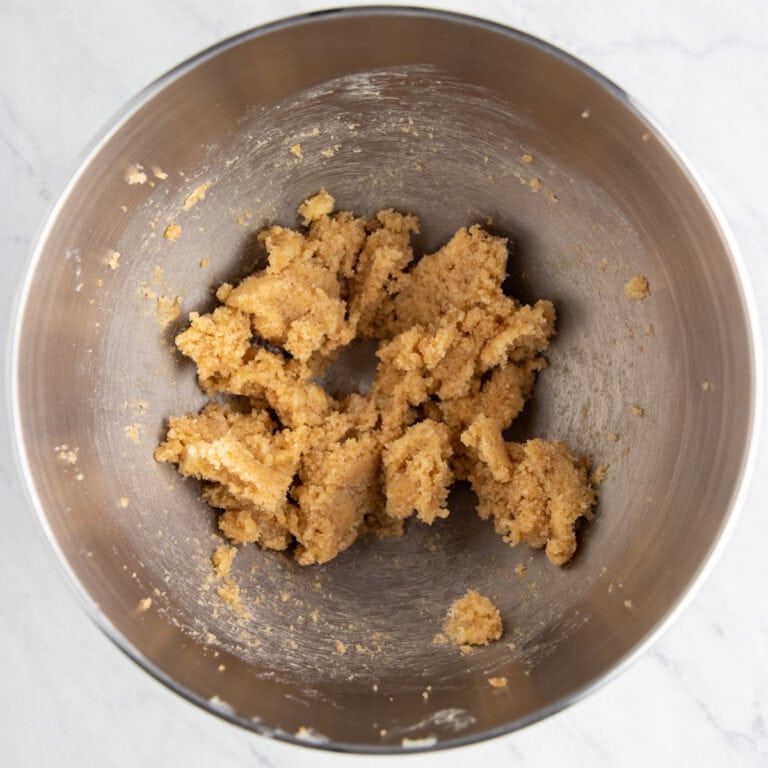 Low FODMAP Oatmeal Chocolate Chip Cookies Fun Without FODMAPs