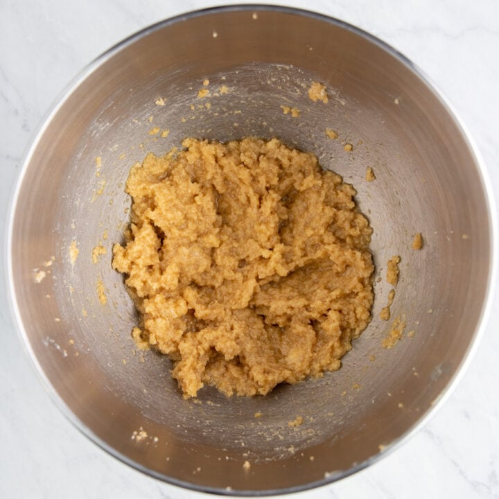 Low FODMAP Oatmeal Chocolate Chip Cookies Fun Without FODMAPs