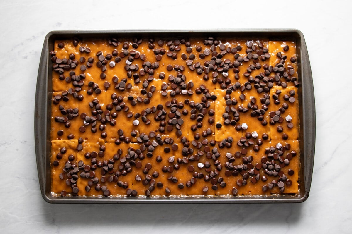 Dark chocolate chips sprinkled evenly on top of a sheet pan filled with hot toffee topped crackers.