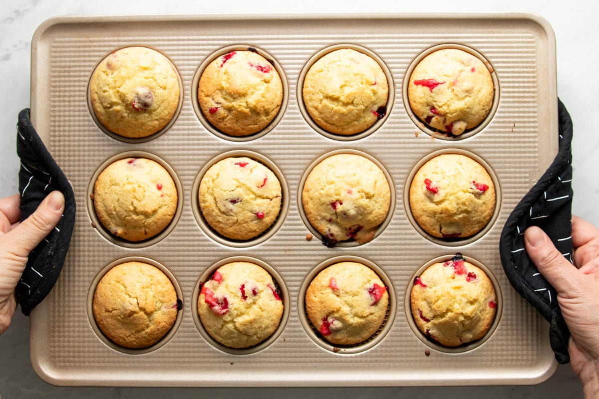 Two pot holder-protected hands holding a muffin pan filled with baked low FODMAP cranberry-orange muffins.