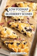 Looking down at five blueberry scones on a baking sheet lined with parchment paper. Black text in a white box reads "Low FODMAP Blueberry Scones" and "FUN WITHOUT FODMAPS."