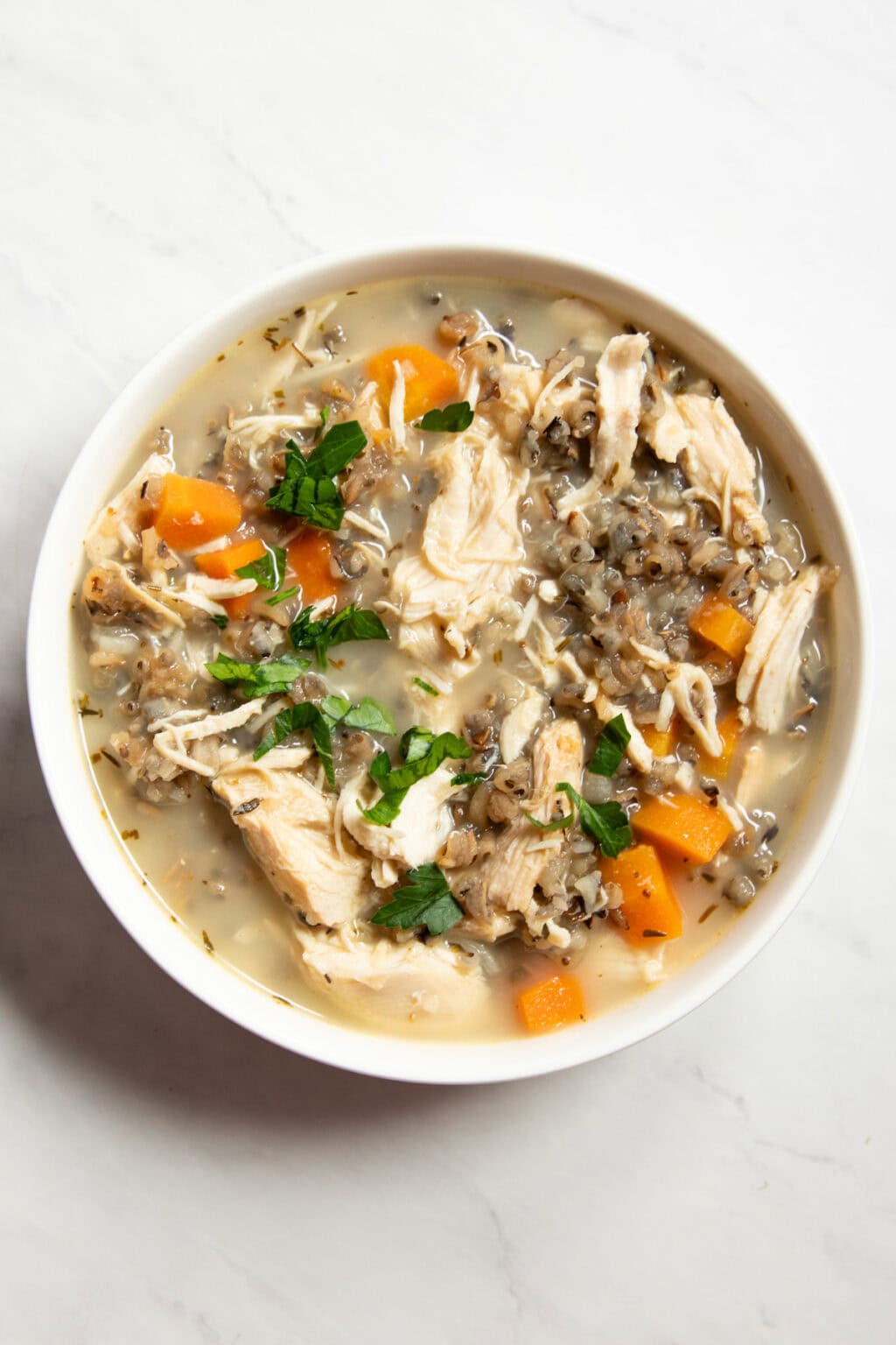 Slow Cooker Low FODMAP Chicken Wild Rice Soup - Fun Without FODMAPs