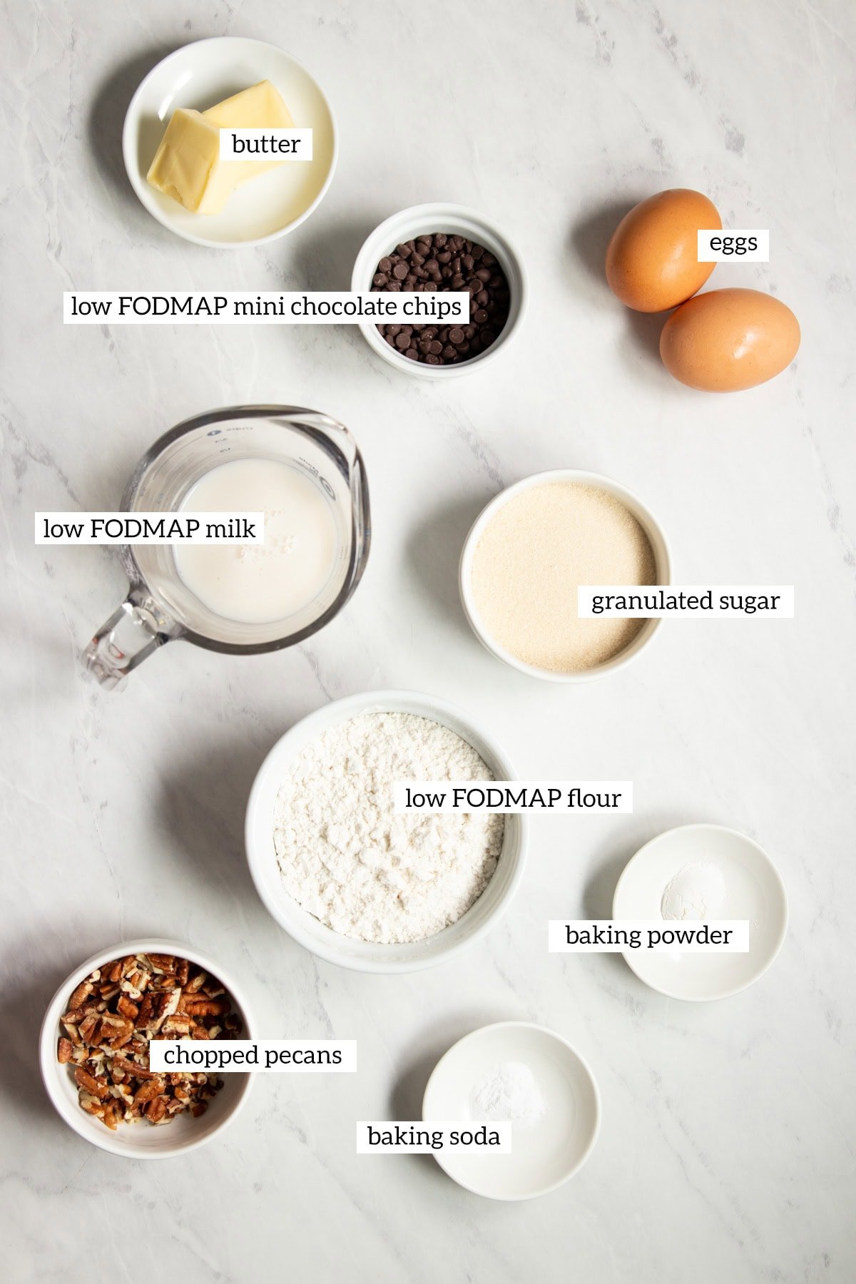 Ingredients needed for Low FODMAP Chocolate Pecan Waffles are prepared and measured out into individual dishes ready to make this recipe.