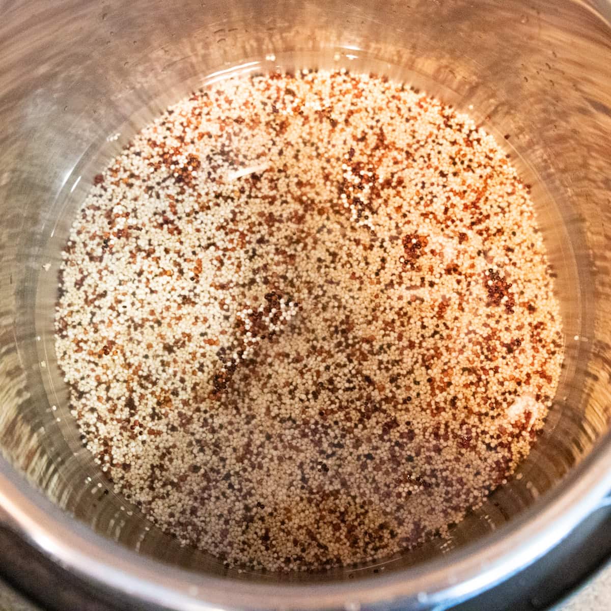 Uncooked quinoa, water and salt in an instant pot bowl ready for cooking.