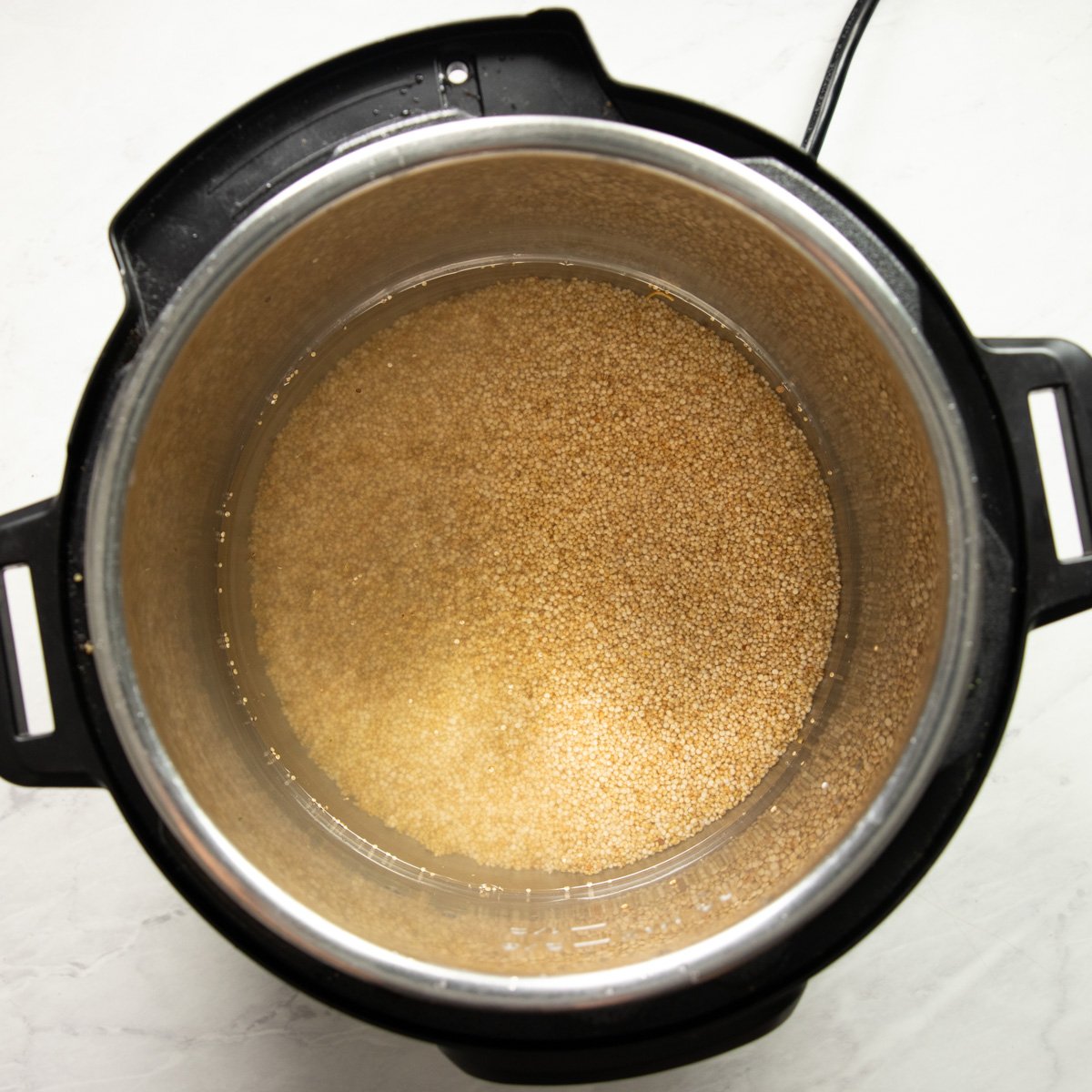 Quinoa, water, and salt in an Instant Pot ready to be cooked.